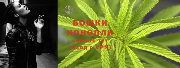 сатива Краснотурьинск