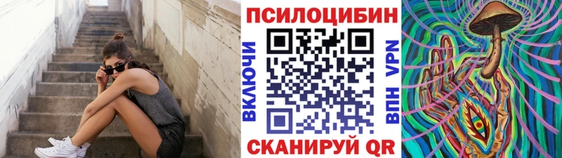Купить где  Благодарный  Псилоцибиновые грибы Magic Shrooms 