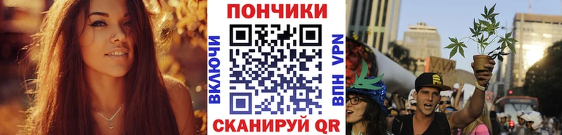Бошки Шишки гибрид  Купить закладки  Благодарный 